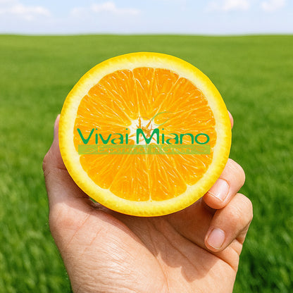 Orange Lane Late Plant (pot - 20)