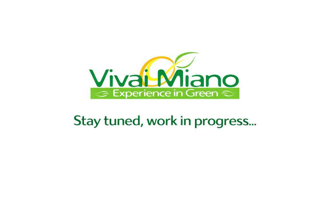 Orange Tree (pot - 35)