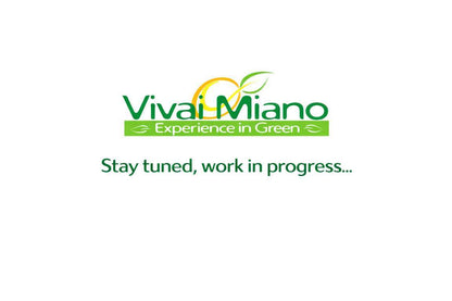 Star Ruby Grapefruit Plant (Bush - 35 cm pot)